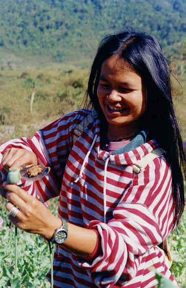 Lao Agriculture