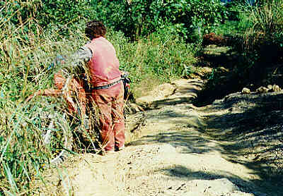 Pai Enduro Team, Northern Thailand: Off-Road Adventure, Dual Sport, Motorcycle Tours.