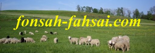 Fonsah Fahsai: Information and Photos about Switzerland, Italy, Germany, Thailand, Myanmar, Laos and many other countries around the world