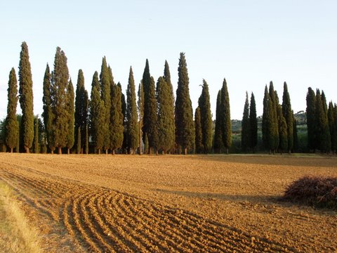 italy_07