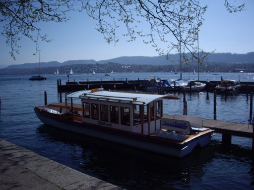 lake_zurich_07